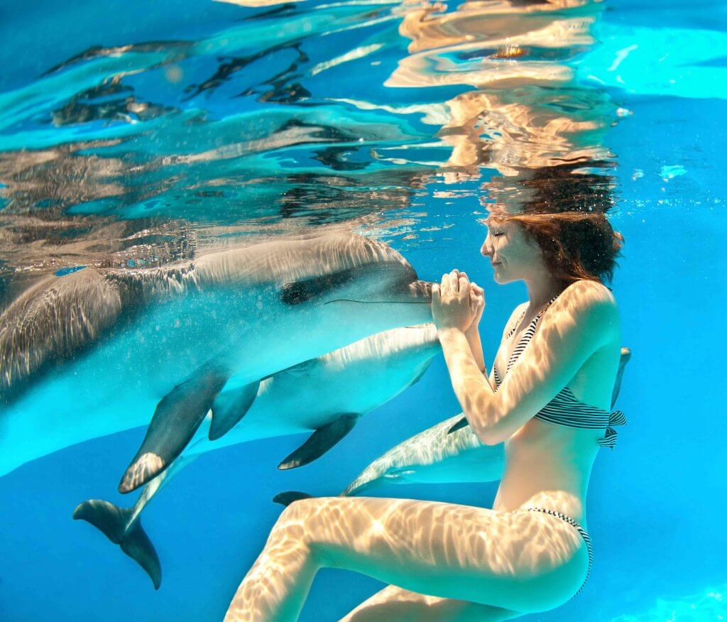 Swim With Dolphins In Punta Cana