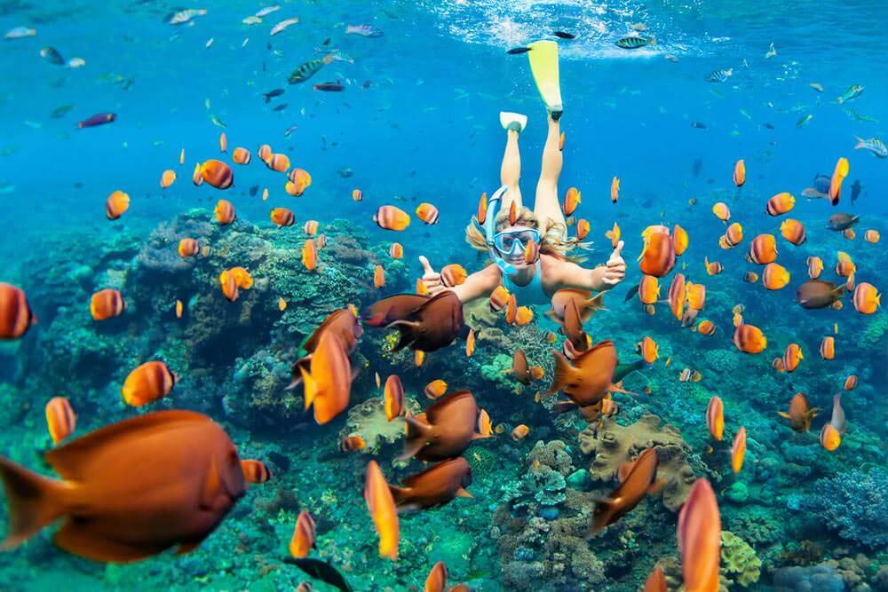 Best Snorkeling Beaches in Aruba