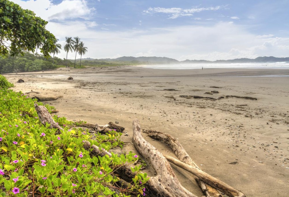Best Beaches for Swimming in Costa Rica