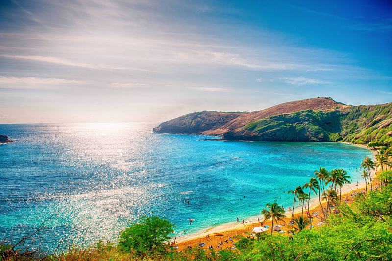 Vacation Options in Hawaii